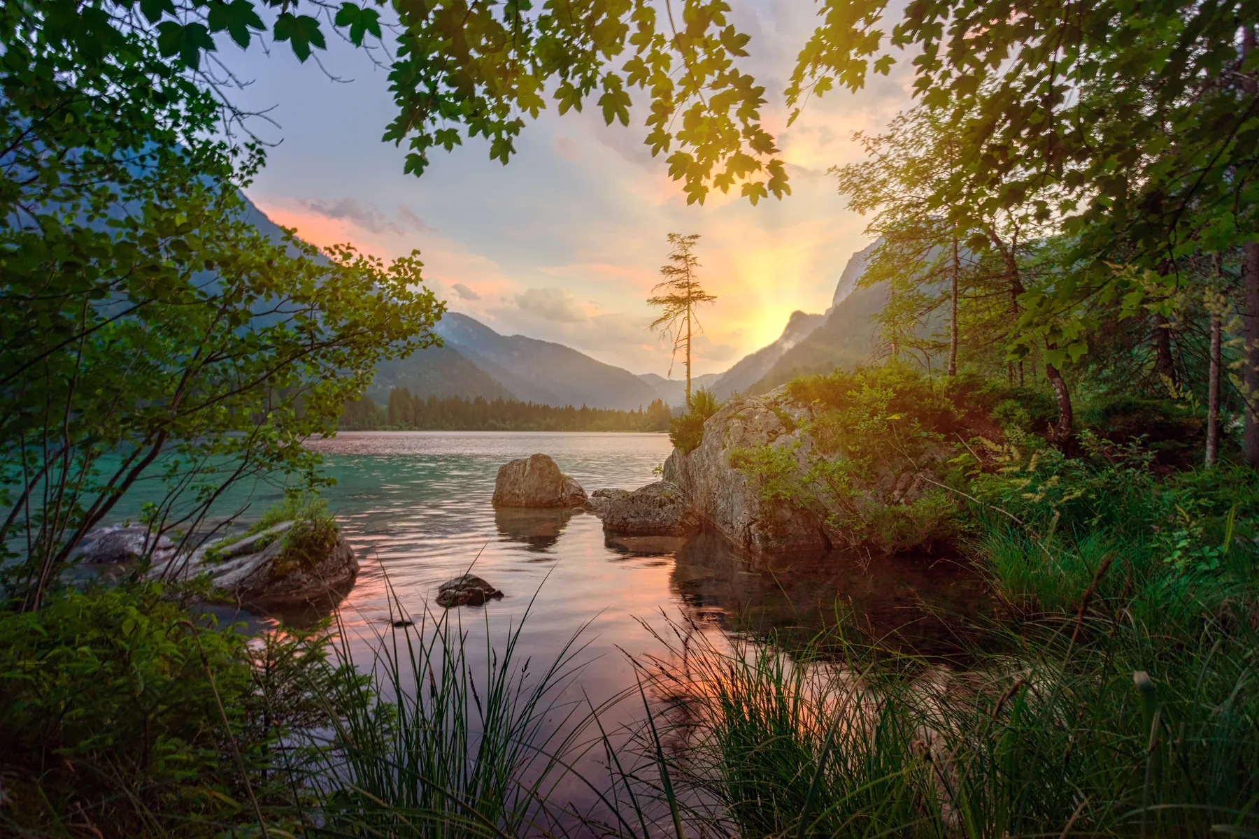 Atardecer sobre un lago rodeado de bosque